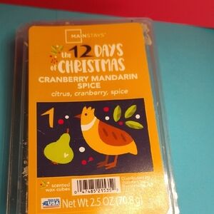 Mainstays Citrus Cranberry Spice Scented 6 Wax Cubes
